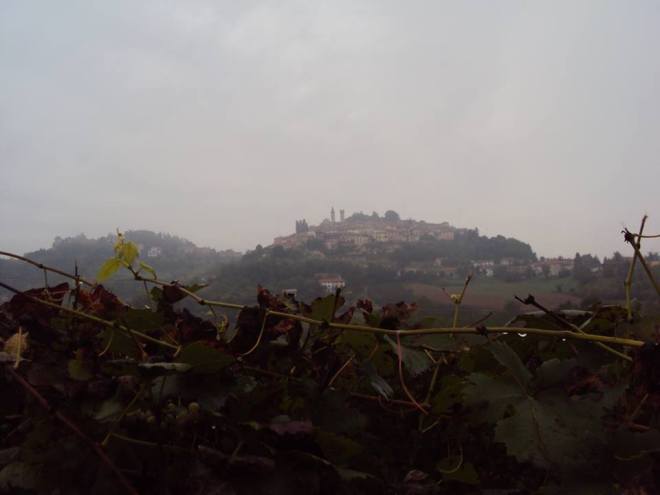 Autunno in Monferrato