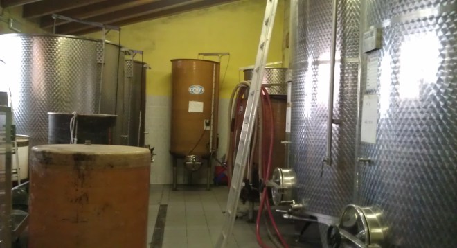 Ecco la parte operativa de La Cà Nova. E' in questa stanza che sviniamo il mosto.